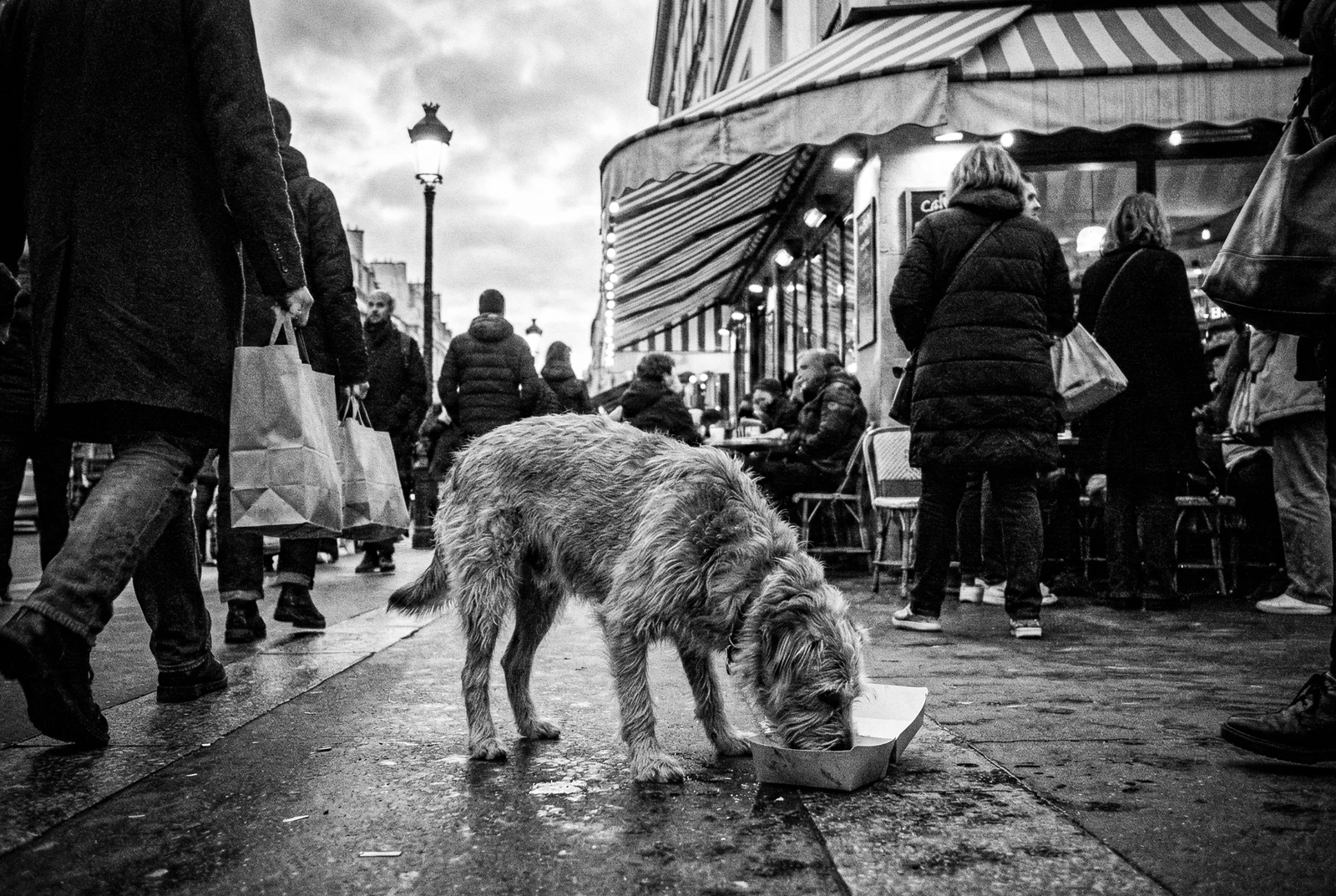 Generated with Nano Banana / Edited in Adobe Lightroom