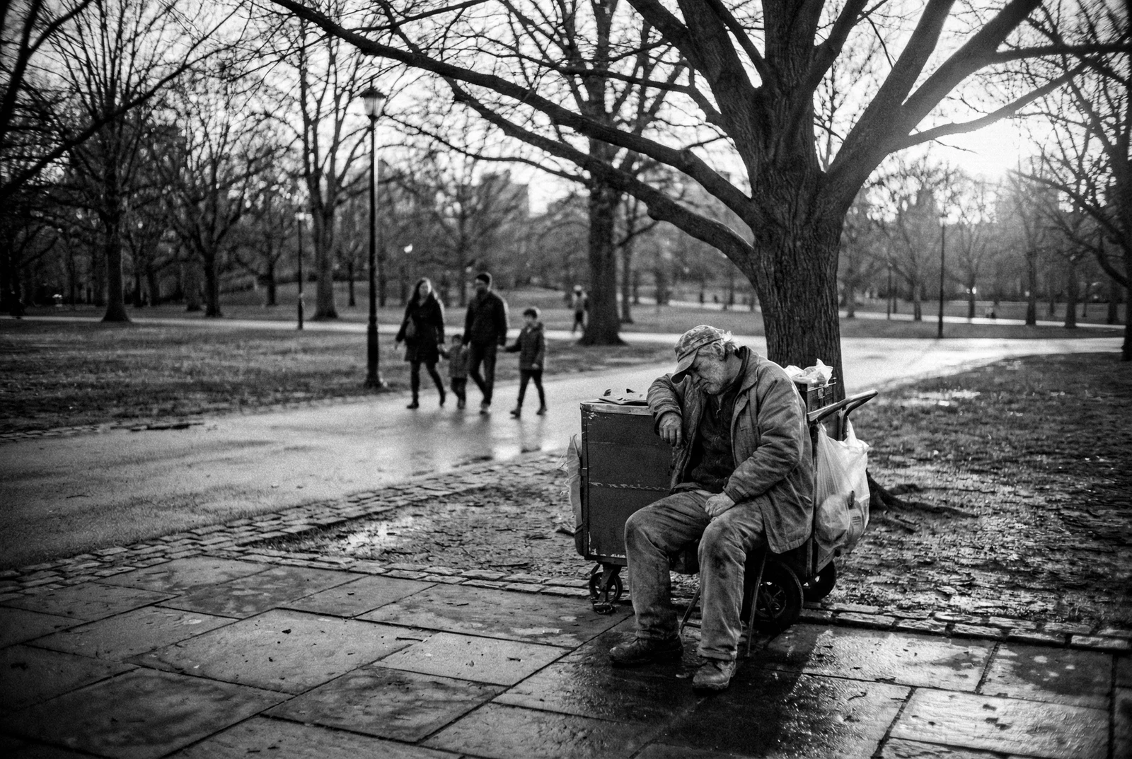 Generated with Nano Banana / Edited in Adobe Lightroom