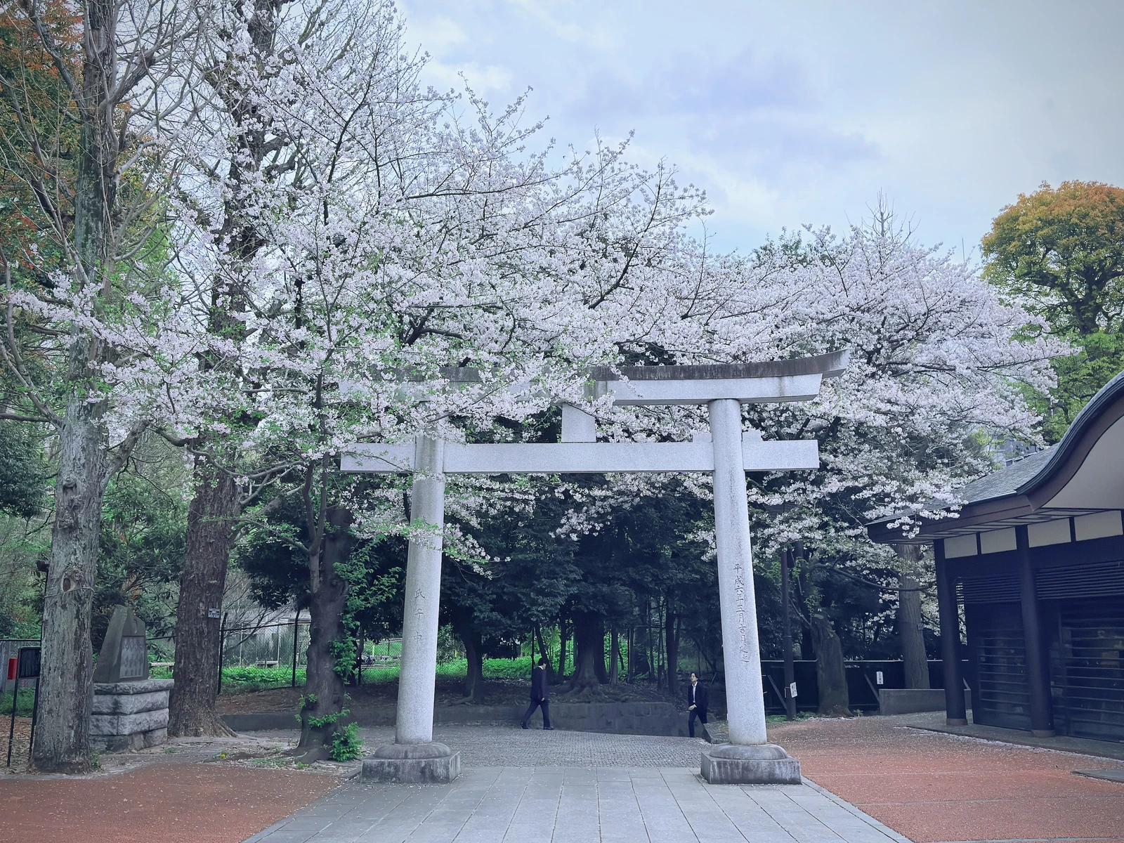 벚꽃 시즌의 쿠마노 신사 [출처: 직접 촬영]